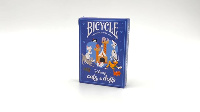 Video Bicycle - Disney Cats and Dogs