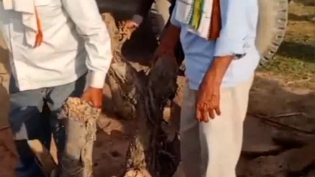 जलालाबाद थाना क्षेत्र के गांव टॉपर में घरेलू कलह के चलते युवक ने पंखे के कुंडे से फांसी लगाकर दी जान,