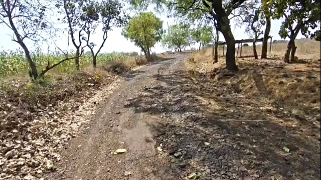 घोणशी तांड्याच्या रस्त्याची दुरावस्था,नागरिकांना नाहक त्रास