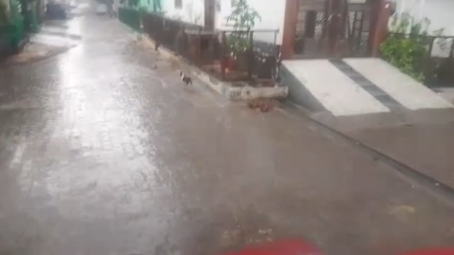 मथुरासूबेदारमेजरनेअपनेघरसेलेकर मंडी मथुरावृंदावनचारधाम होते हुए चोमा अकबरपुरनोगामशेरगढ़तकदौरा किया चारों तरफ बर्बादी 