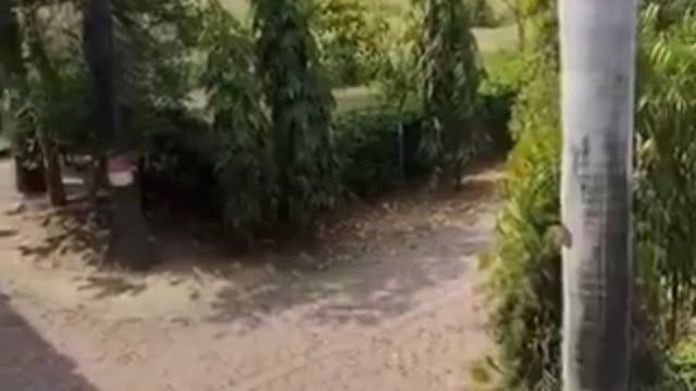 *वाराणसी के UP कॉलेज में आज हुआ अराजकता का नंगा नाच....*

 छात्र सूर्य प्रताप सिंह की क्लास रूम के बाहर कई गोलियां मारकर हत्या कर दी गई। वारदात के विरोध में छात्रों ने खूब तोड़फोड़ मचाई, पत्थर फेंके। हत्या का Live वीडियो सामने आया है। 

छात्र–छात्राओं के सामने हत्या हो गई। वो चीख–चिल्ला रहे हैं। आरोपी छात्र मंजीत चौहान की गिरफ्तारी की सूचना है।