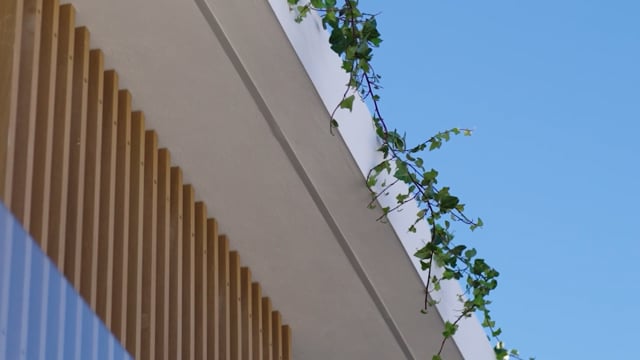 Attention — Marbella Real Estate