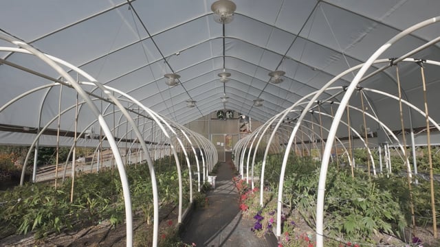 USA Weedland Craft Cannabis: Quality Over Mass