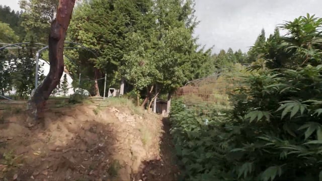 Spain Grand Social Club Tour: Barcelona to Ibiza