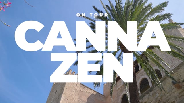 Puerto Marina Malaga: Maritime Cannabis Flair