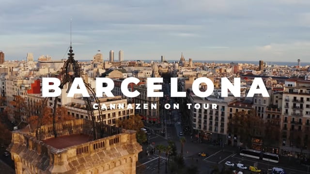 Bless Social Club Barcelona: Premium Cannabis