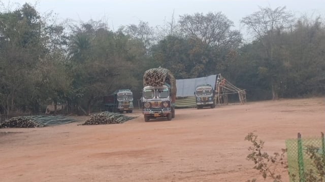  ବାଉଁଶ ବେପାରୀମାନଙ୍କ ଭୂସ୍ୱର୍ଗ ପାଲଟିଛି ମୟୂରଭଞ୍ଜ ର ମୋରଡା ବ୍ଲକ।