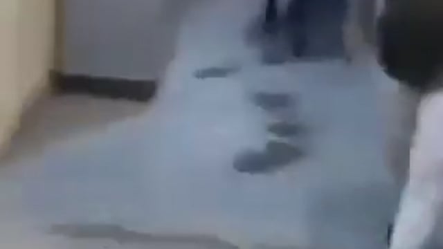 ▶️.....सांड सिर्फ सड़क और हाईवे तक ही समिति नहीं रहे
अभी तक सांड मकान दुकान तक ही पहुंच रहे थे 

लेकिन आज बीकानेर के सरकारी अस्पताल में सांड महाराज इलाज कराने पहुंचे हैं