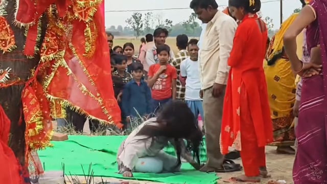 डुमरियागंज में ‘चमत्कार’ या प्राकृतिक घटना? नीम के पेड़ से 20 दिनों से निकल रहा सफेद द्रव