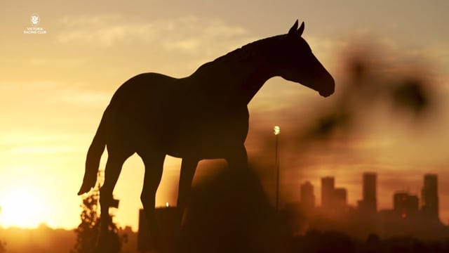 TAB Australian Cup Day 