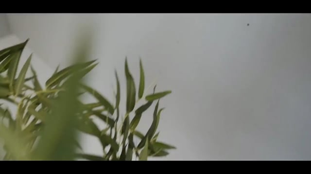 Video B CLEAR (Gimmicks and Online Instructions) by Axel Vergnaud, Alexis Touchart Magic Dream - Trick