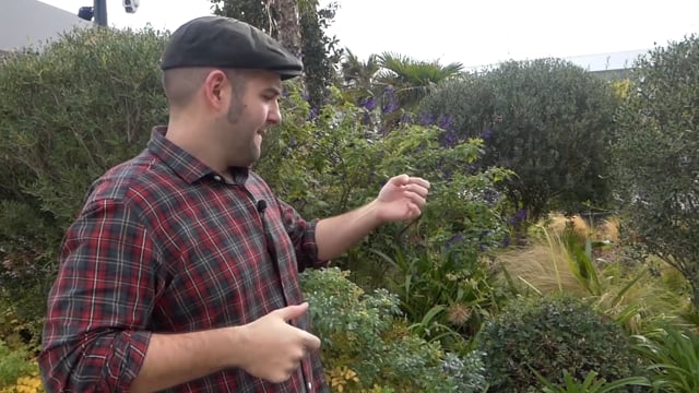 Video Cromo Project by Gonzalo Albiñana and Crazy Jokers - Trick (VT)
