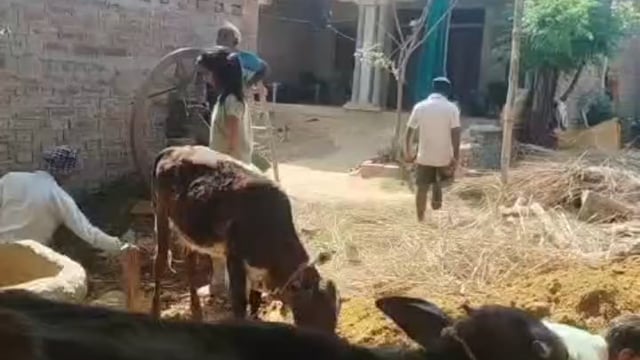 जमीन वाद न्यायालय मे विचाराधीन,पुलिस बनी काजी, कब्जा करवाने का आरोप,चार महिला को थाने मे बैठाने का आरोप 