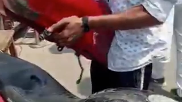 उत्तर प्रदेश में डीजल और पेट्रोल की कमी को लेकर भड़के जनता