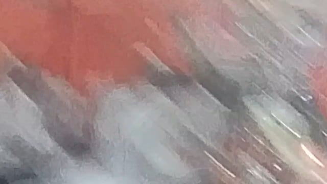 मथुरा राज ग्राम कालोनी में भव्य माता जागरण का आयोजन विनोद पहलवान ने कराया 