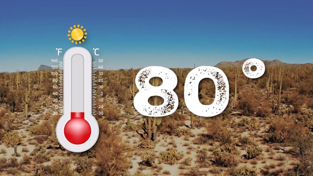 Beat the Heat with AZ Ice