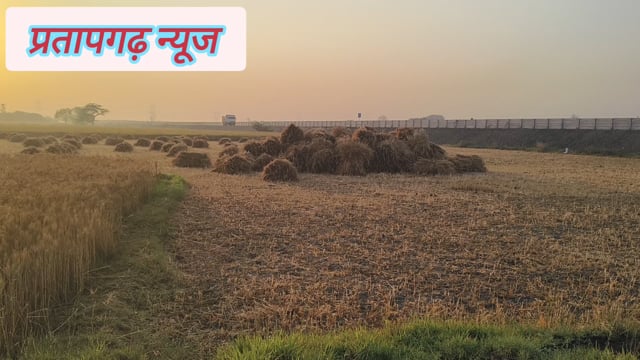 🌧️ जिला प्रतापगढ़ में हल्की बारिश से किसानों की बढ़ी चिंता#latest_news 