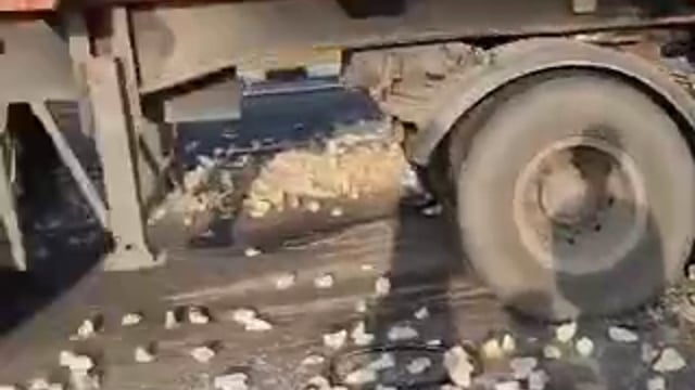 📰 खड़े डंपर में पीछे से भिड़ा दूसरा डंपर, चालक के कटे दोनों पैर पूरा मामला बाघराय थाना क्षेत्र के डिहवा रामदास पट्टी का