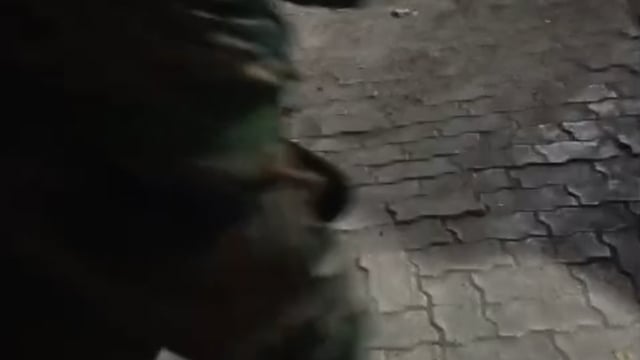 बाइक दुर्घटना में दो युवक घायल, एक की मौत एक रेफर