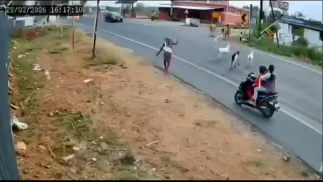 इस हादसे को देख कलेजा कांप जाएगा-

ये एक्सीडेंट तमिलनाडु में हुआ है, जहां जानवरों को सड़क पार करा रहे एक शख्स को बस कुचल देती है और युवक की मौके पर ही मौत हो जाती है