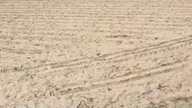 दबंगों द्वारा जमीन पर कब्जा करने का प्रयास, पिता की संपत्ति में नाम दर्ज कराने को लेकर जनसुनवाई में शिकायत 