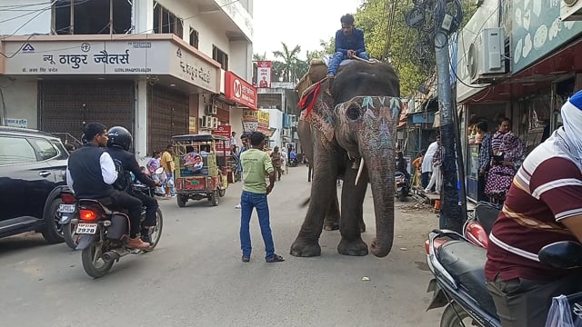 शाहजहांपुर बाबा विश्वनाथ मंदिर से भव्य यात्रा  जिसमें गजराज झांकी आकर्षित 