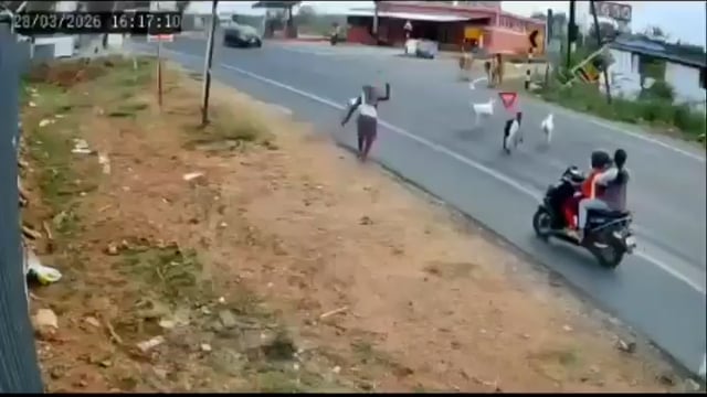 इस हादसे को देख कलेजा कांप जाएगा-
ये एक्सीडेंट तमिलनाडु में हुआ है, जहां जानवरों को सड़क पार करा रहे एक शख्स को बस कुचल देती है और युवक की मौके पर ही मौत हो जाती है