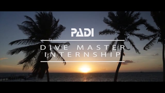 GVI Mexico Divemaster Internship