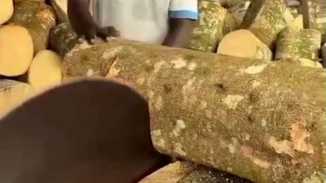 ▶️.....माचिस की तिल्ली ऐसे बनती