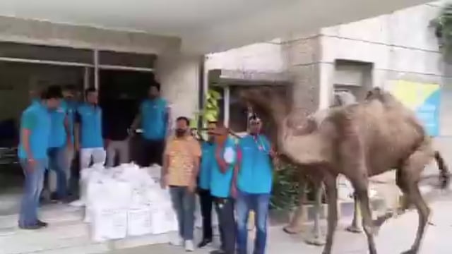 ▶️....दिल्ली - पुलिस ने ऊंट के जरिए शराब तस्करी करने वाले विनोद भड़ाना को गिरफ्तार किया....*
कार्रवाई में दो ऊंटों से 37 पेटी शराब बरामद की गई, जांच में सामने आया कि पुलिस चेकिंग से बचने के लिए हरियाणा से शराब को फरीदाबाद के जंगलों के रास्ते दिल्ली लाया जाता था, इससे पहले भी ऊंटों के माध्यम से तस्करी के ऐसे मामले सामने आ चुके हैं