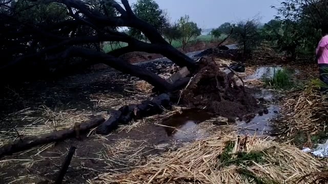 लातूर जिल्ह्यात ठीक ठिकाणी वादळी वारा  अवकाळीचा फटका