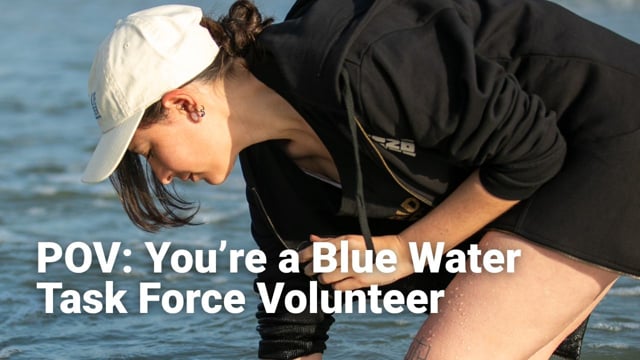 Surfrider POV · Blue Water Volunteer