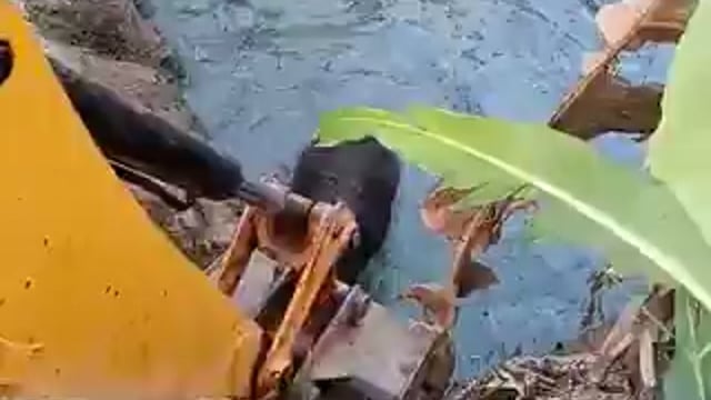 ▶️......ओडिशा: खुले कुएं में गिरा नन्हा हाथी, 
3 घंटे तक चला रेस्क्यू ऑपरेशन...
कूदता-फांदता बाहर आया जम्बो, देखें वीडियो।