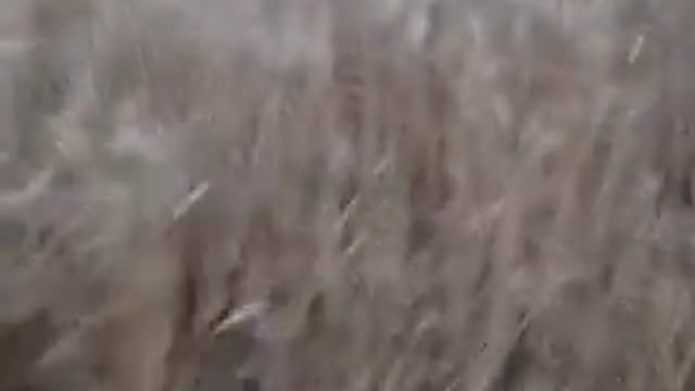 ▶️......उत्तर प्रदेश – इटावा के सैफई थाना क्षेत्र में खेत के बीच एक ड्रोन आकर गिर गया, अचानक ड्रोन क्रैश होने से इलाके में हड़कंप मच गया