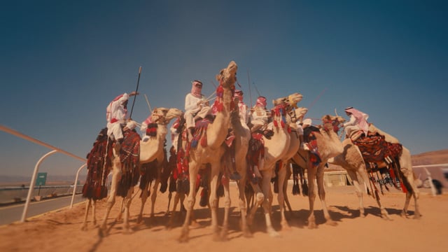 Saudi Arabia
