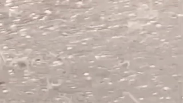 मथुरा में मौसम के ट्रीपल अटैक से बेहाल हुए किसान, मूसलाधार बारिश, ओले और तूफान ने बरपाया जबरदस्त कहर।