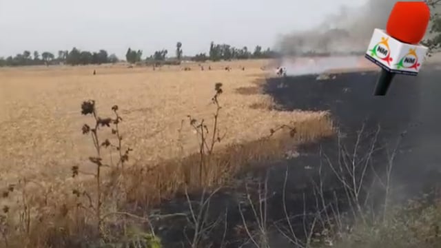 अकबरपुर मालीपुर थाना क्षेत्र के एक गांव में गेहूं की फसल में अज्ञात कारणो से लगी आग में कई बीगहा फसल जलकर राख।