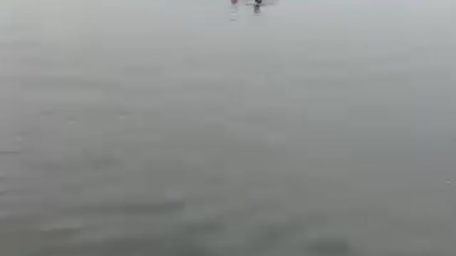 यमुना में कूद कर जान देने की कोशिश बहादुर से बचाई सुखवीर मजदूर ने युवती की जान बाप की डांट से गोसाई युवती ने लगाई छलांग 