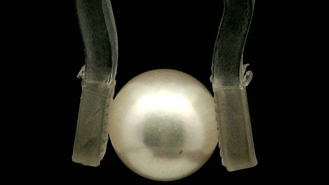 Video 1