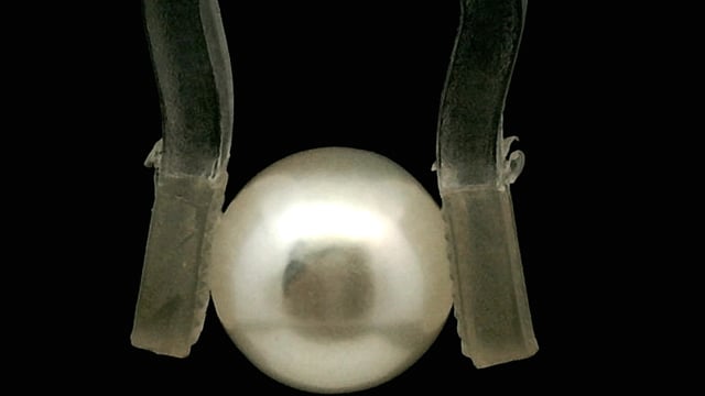 Video 1