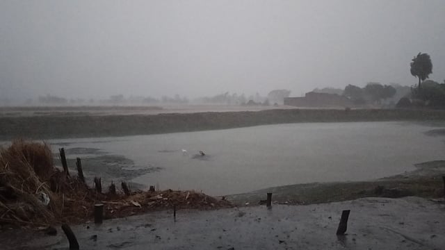 तेज बारिश और आंधी से बदला मौसम का मिजाज, तुर्की खेड़ा में गरज के साथ हुई बरसात
शाहजहांपुर के विकासखंड भवाल खेड़ा क्षेत्र के गांव तुर्की खेड़ा में अचानक मौसम ने करवट ले ली। देर शाम तेज हवाओं के साथ जोरदार बारिश हुई और आसमान में काले बादलों की गरज सुनाई दी।