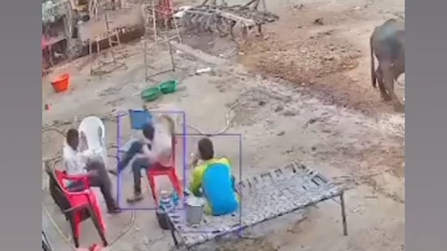 कुत्तों की नसबंदी व सेलटर की रिपोर्ट को लेकर सुप्रीम कोर्ट के सभी राज्यों में आदेश, मई, जून तक सभी राज्यों को कितने आवारा कुत्तों को सेलटर किए एवं कितनों की नसबंदी की