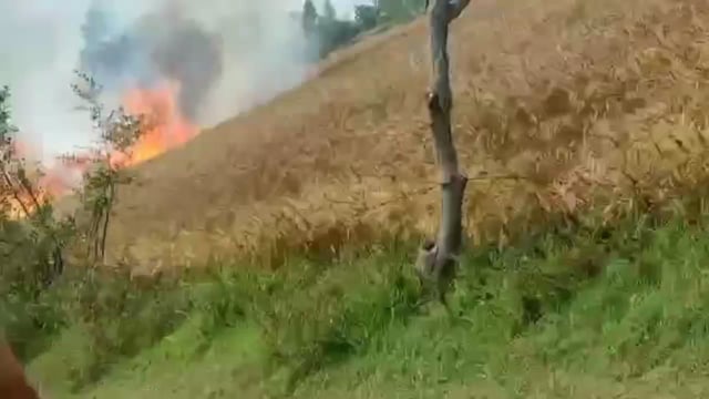 सुरीर के इरोली जुन्नारदार में आग से 15 बीघा गेहूं की फसल जलकर खाक