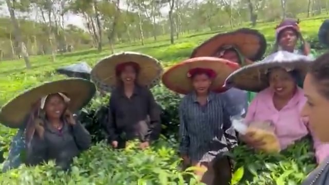 ➡️....Kapde lakar diya, Pahna diya, Selfie liya, Instagram par dal diya" कांग्रेस लीडर अलका लांबा असम के चाय के बागानों में पहुंचीं तो वहां काम करने वाली महिलाओं ने ये कहा ।*