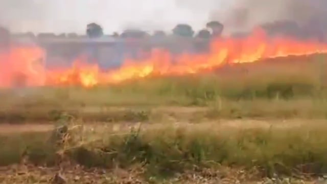 कोंच, खेत में गेहूं की पराली में लगी आग से मची अफरा-तफरी, किसानों ने ट्रैक्टर से बुझाई आग