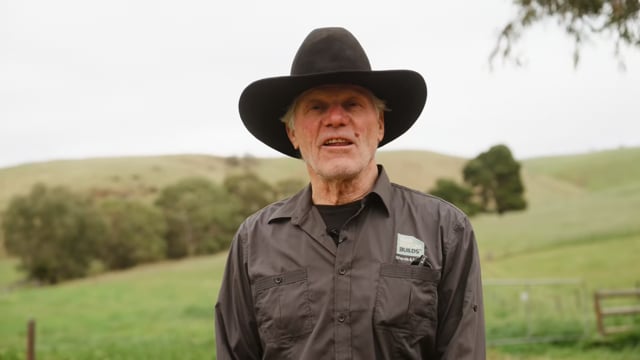 Shed King x Ambassadors cover