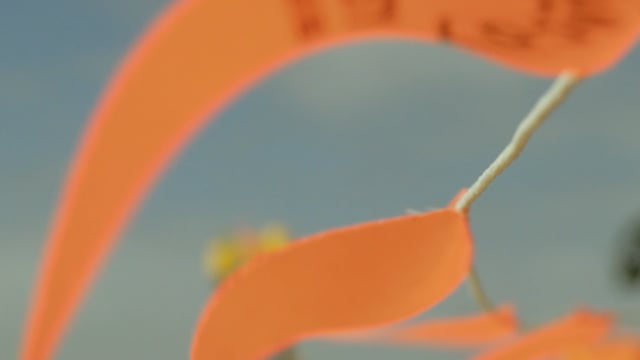 Civilzone Construction — video production by Fuel My Social Adelaide