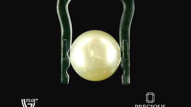 Video 1