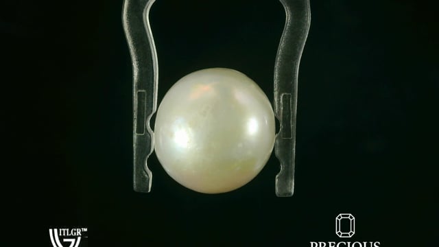 Video 1
