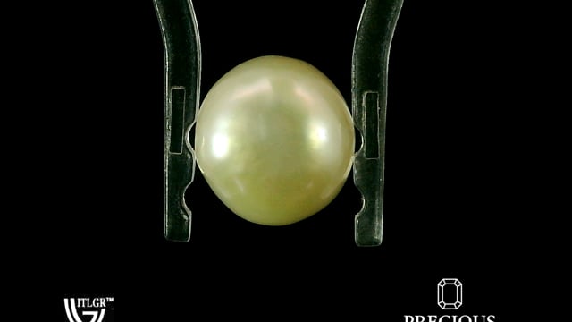 Video 1
